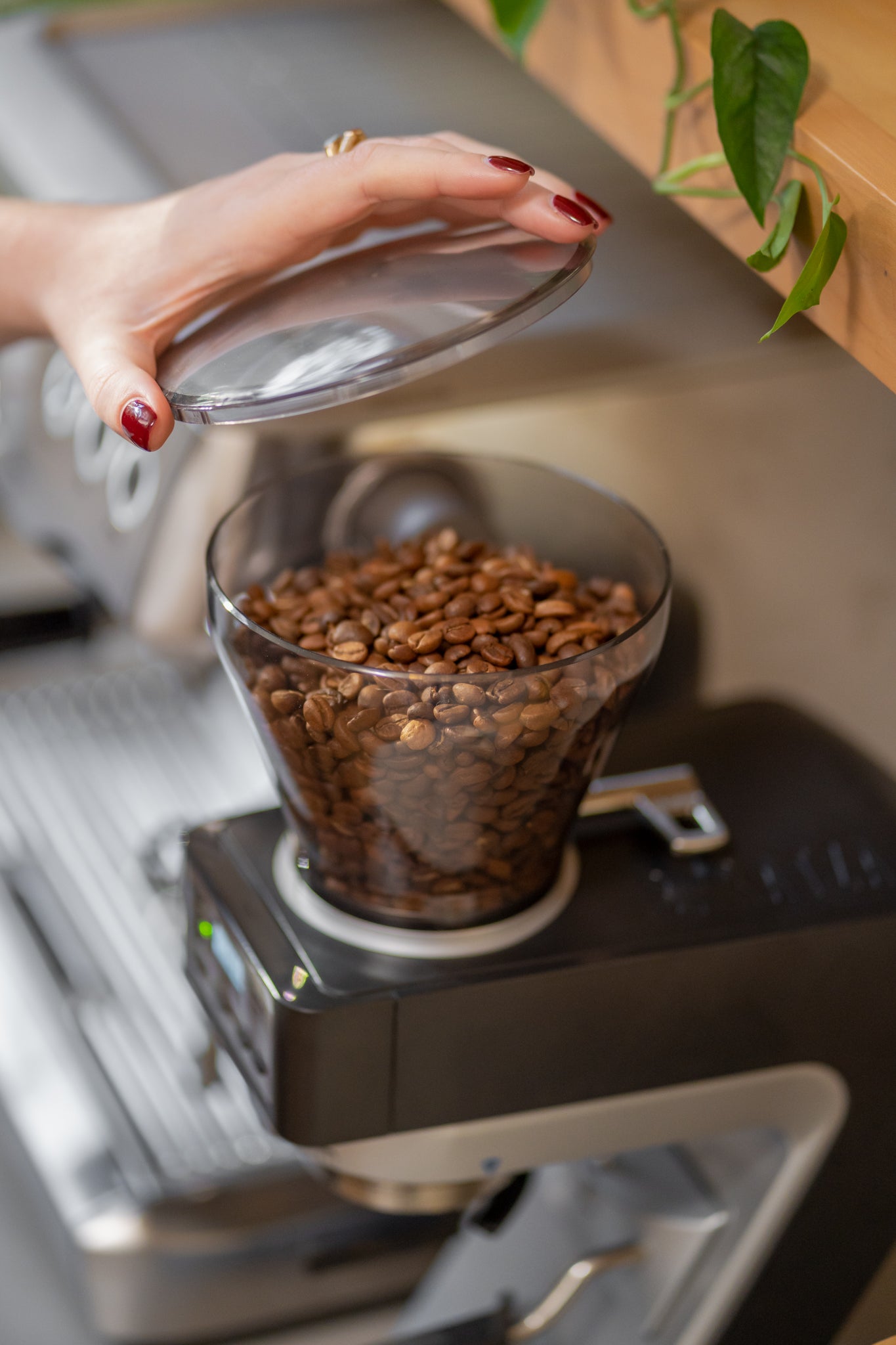 Baratza Sette 270Wi Coffee Grinder