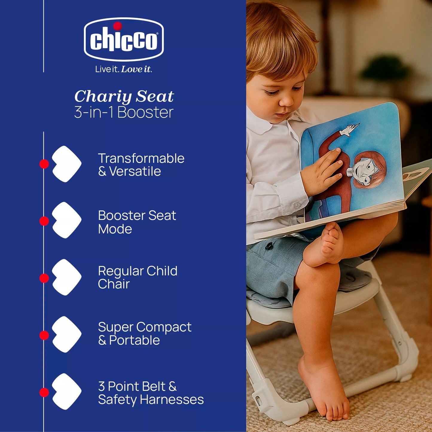 Chicco Chairy Booster Seat