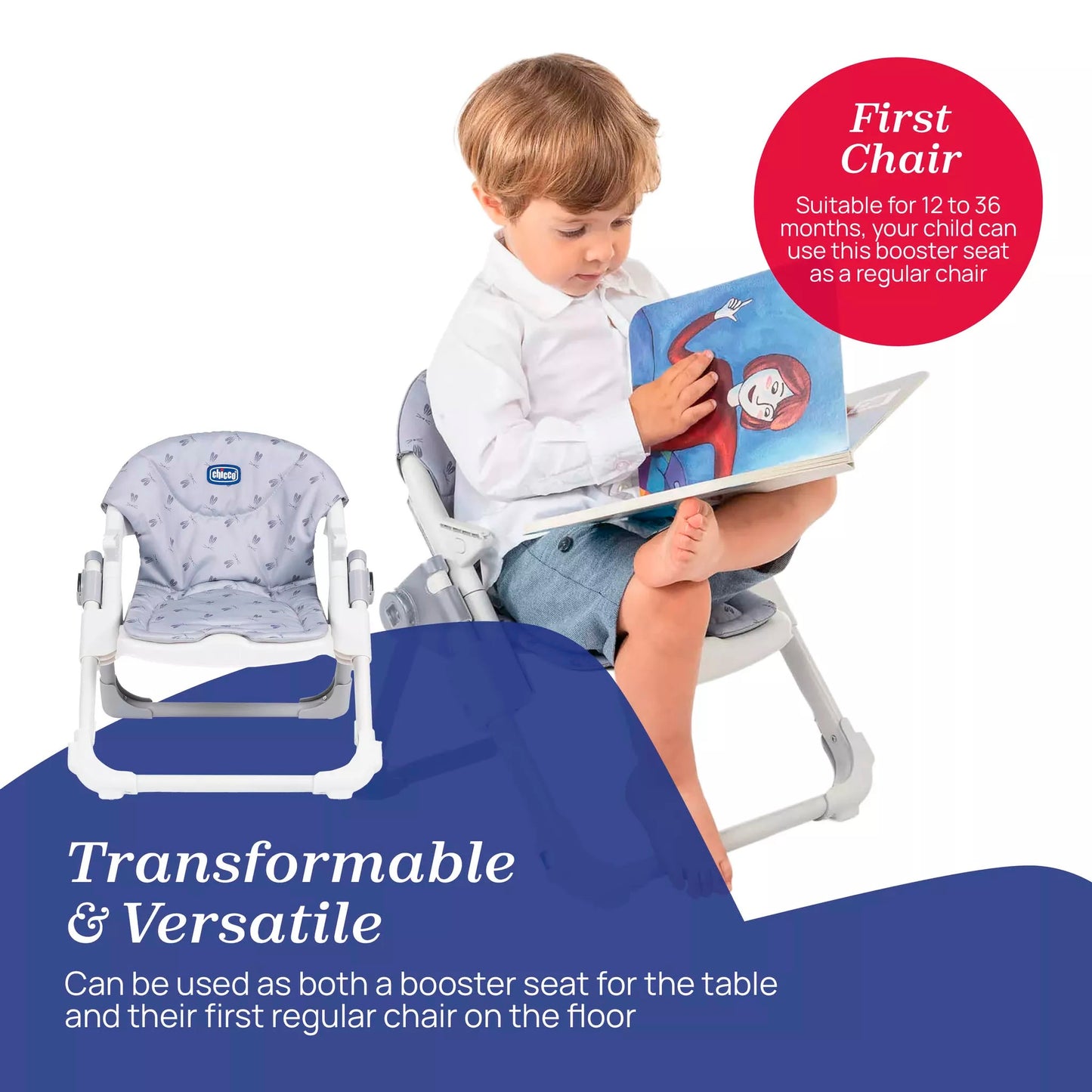 Chicco Chairy Booster Seat