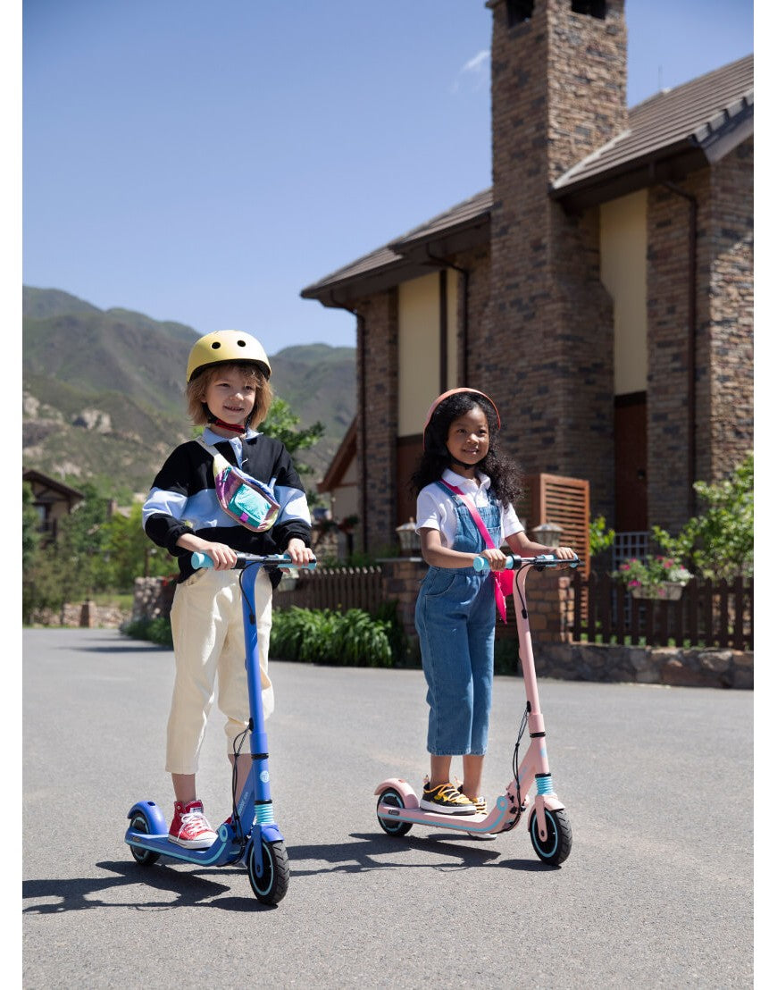 Ninebot eKickScooter Zing E8 Powered by Segway