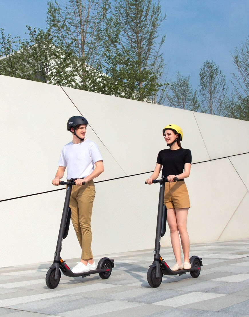 Ninebot Kickscooter E45E Powered by Segway
