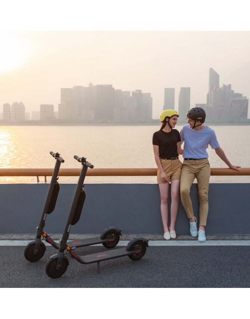 Ninebot Kickscooter E45E Powered by Segway