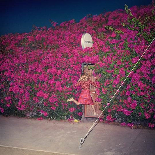 FEIST TO RELEASE NEW ALBUM — PLEASURE