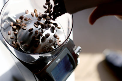 Baratza Forte AP Coffee Grinder